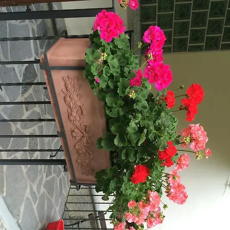 Villa Sofia